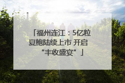 福州连江：5亿粒夏鲍陆续上市 开启“丰收盛宴”