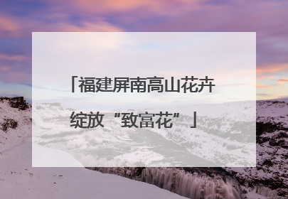 福建屏南高山花卉绽放“致富花”
