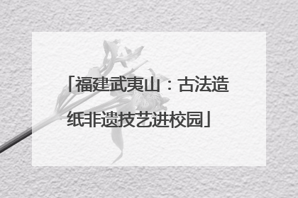福建武夷山：古法造纸非遗技艺进校园