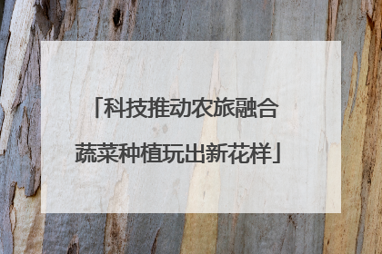 科技推动农旅融合 蔬菜种植玩出新花样