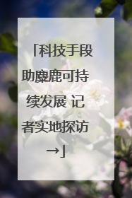 科技手段助麋鹿可持续发展 记者实地探访→