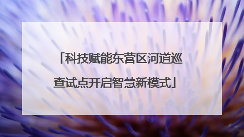 科技赋能东营区河道巡查试点开启智慧新模式