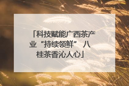 科技赋能广西茶产业“持续领鲜” 八桂茶香沁人心