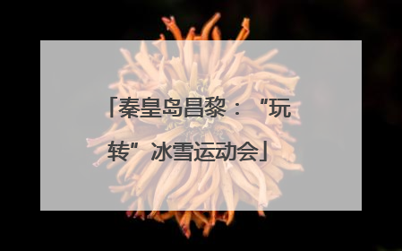秦皇岛昌黎：“玩转”冰雪运动会