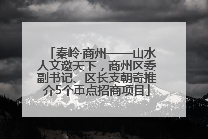 秦岭·商州——山水人文邀天下，商州区委副书记、区长支朝奇推介5个重点招商项目