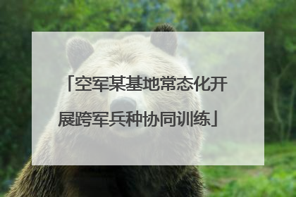空军某基地常态化开展跨军兵种协同训练