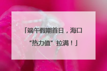 端午假期首日，海口“热力值”拉满！