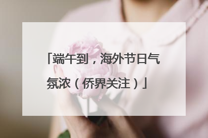 端午到，海外节日气氛浓（侨界关注）