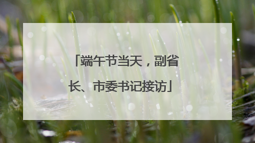 端午节当天，副省长、市委书记接访