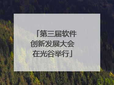 第三届软件创新发展大会在光谷举行