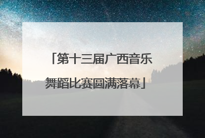第十三届广西音乐舞蹈比赛圆满落幕