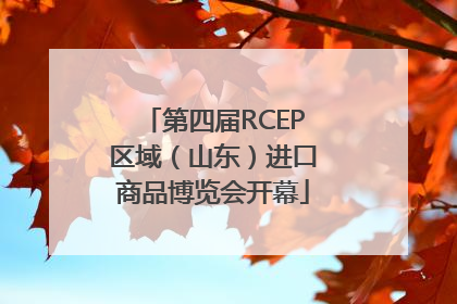 第四届RCEP区域（山东）进口商品博览会开幕