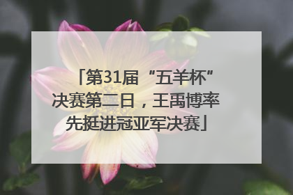 第31届“五羊杯”决赛第二日，王禹博率先挺进冠亚军决赛