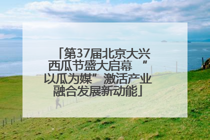 第37届北京大兴西瓜节盛大启幕 “以瓜为媒”激活产业融合发展新动能