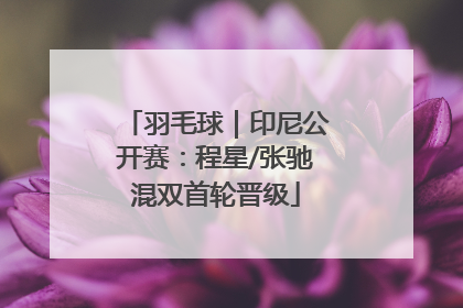 羽毛球｜印尼公开赛：程星/张驰混双首轮晋级