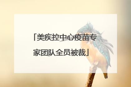 美疾控中心疫苗专家团队全员被裁