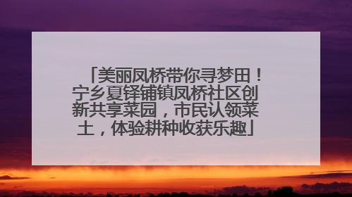美丽凤桥带你寻梦田！宁乡夏铎铺镇凤桥社区创新共享菜园，市民认领菜土，体验耕种收获乐趣