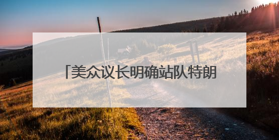 美众议长明确站队特朗普：“大而美”法案不是为了取悦世界首富