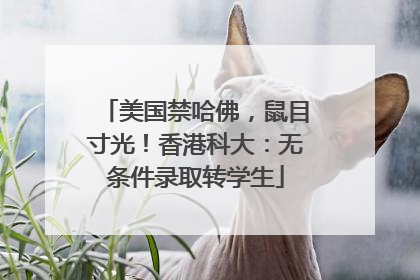 美国禁哈佛，鼠目寸光！香港科大：无条件录取转学生