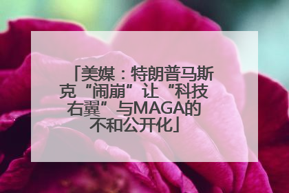 美媒：特朗普马斯克“闹崩”让“科技右翼”与MAGA的不和公开化