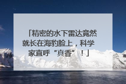 精密的水下雷达竟然就长在海豹脸上，科学家直呼“真香”！