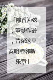 粽香为弦，童梦作谱，普陀这里奏响睦邻新乐章