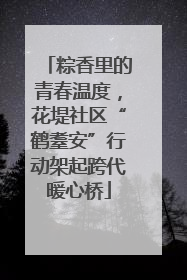 粽香里的青春温度，花堤社区“鹤耋安”行动架起跨代暖心桥