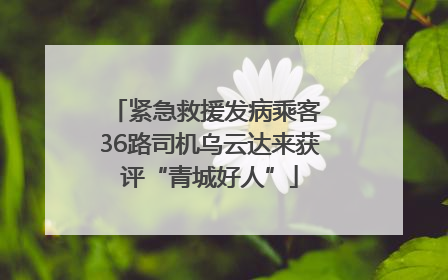 紧急救援发病乘客 36路司机乌云达来获评“青城好人”