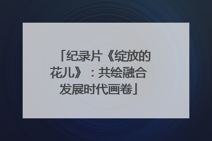 纪录片《绽放的花儿》：共绘融合发展时代画卷