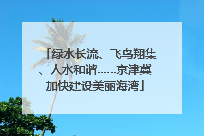 绿水长流、飞鸟翔集、人水和谐……京津冀加快建设美丽海湾