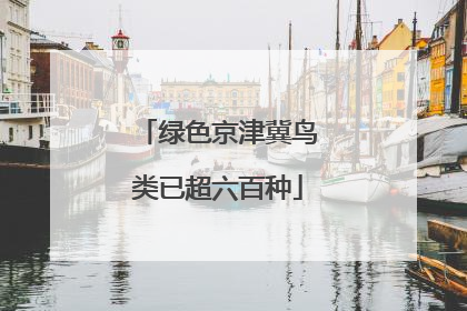 绿色京津冀鸟类已超六百种