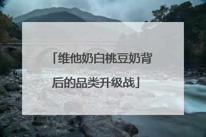 维他奶白桃豆奶背后的品类升级战