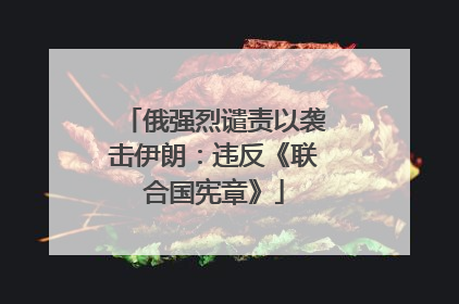 俄强烈谴责以袭击伊朗：违反《联合国宪章》