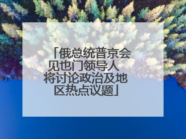 俄总统普京会见也门领导人 将讨论政治及地区热点议题