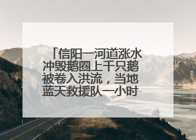 信阳一河道涨水冲毁鹅圈上千只鹅被卷入洪流，当地蓝天救援队一小时赶鹅上岸