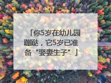 你5岁在幼儿园蹦跶，它5岁已准备“娶妻生子”