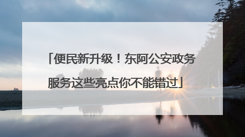便民新升级！东阿公安政务服务这些亮点你不能错过