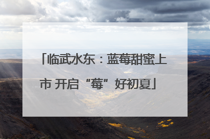 临武水东：蓝莓甜蜜上市 开启“莓”好初夏