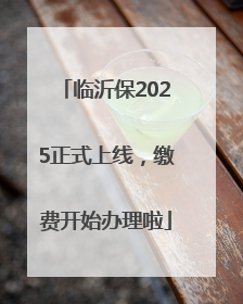 临沂保2025正式上线，缴费开始办理啦