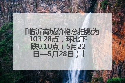 临沂商城价格总指数为103.28点，环比下跌0.10点（5月22日—5月28日）
