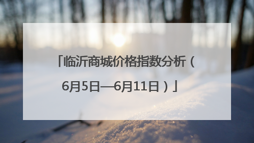 临沂商城价格指数分析（6月5日—6月11日）
