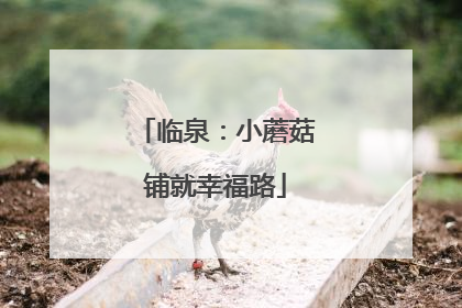 临泉：小蘑菇铺就幸福路