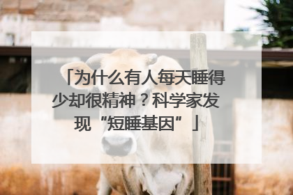 为什么有人每天睡得少却很精神？科学家发现“短睡基因”
