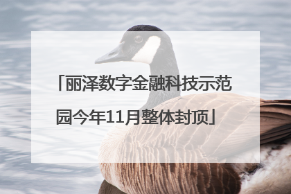 丽泽数字金融科技示范园今年11月整体封顶