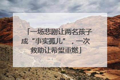 一场悲剧让两名孩子成“事实孤儿”，一次救助让希望重燃