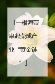 一根海带串起荣成产业“黄金链”
