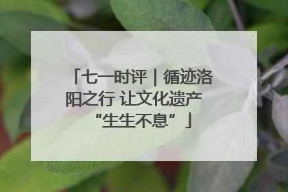 七一时评｜循迹洛阳之行 让文化遗产“生生不息”