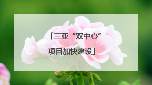三亚“双中心”项目加快建设