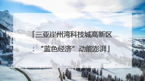 三亚崖州湾科技城高新区：“蓝色经济”动能澎湃