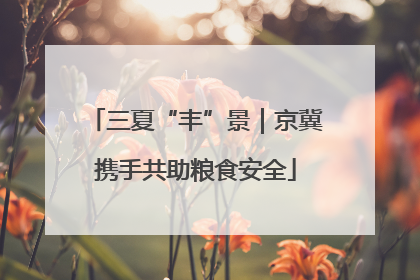三夏“丰”景｜京冀携手共助粮食安全